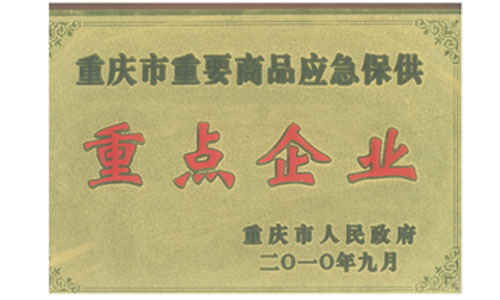 重點企業(yè)